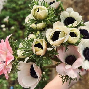 Summer 2026 Farm to Vase Flower Subscription