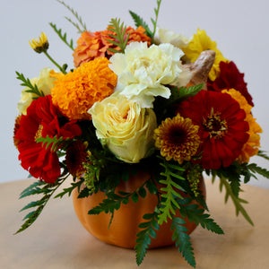 Thanksgiving Preorder: Mini Ceramic Pumpkin Arrangement