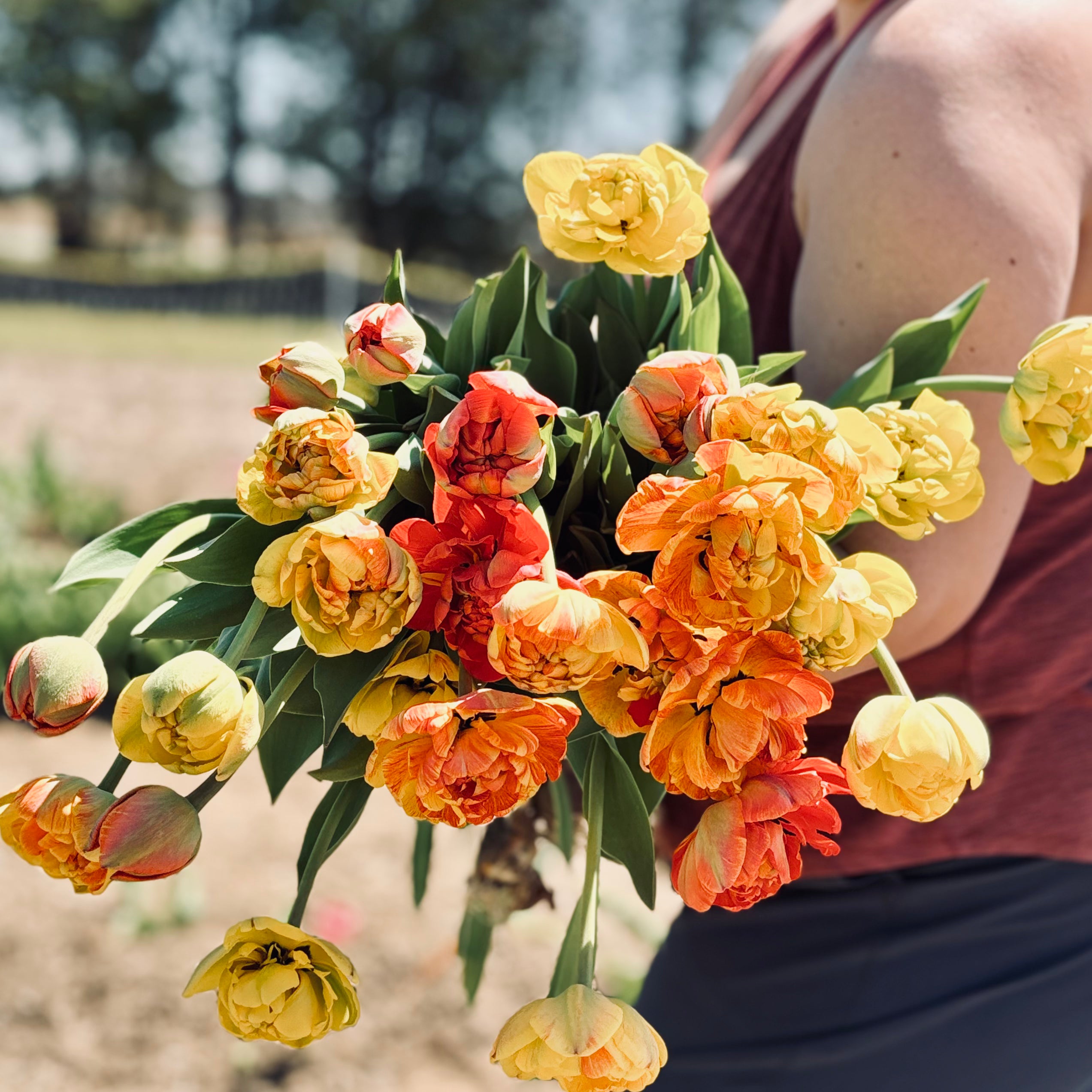 Spring 2026 Farm to Table Flower Subscription