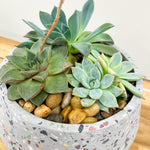 Load image into Gallery viewer, Succulent Planter
