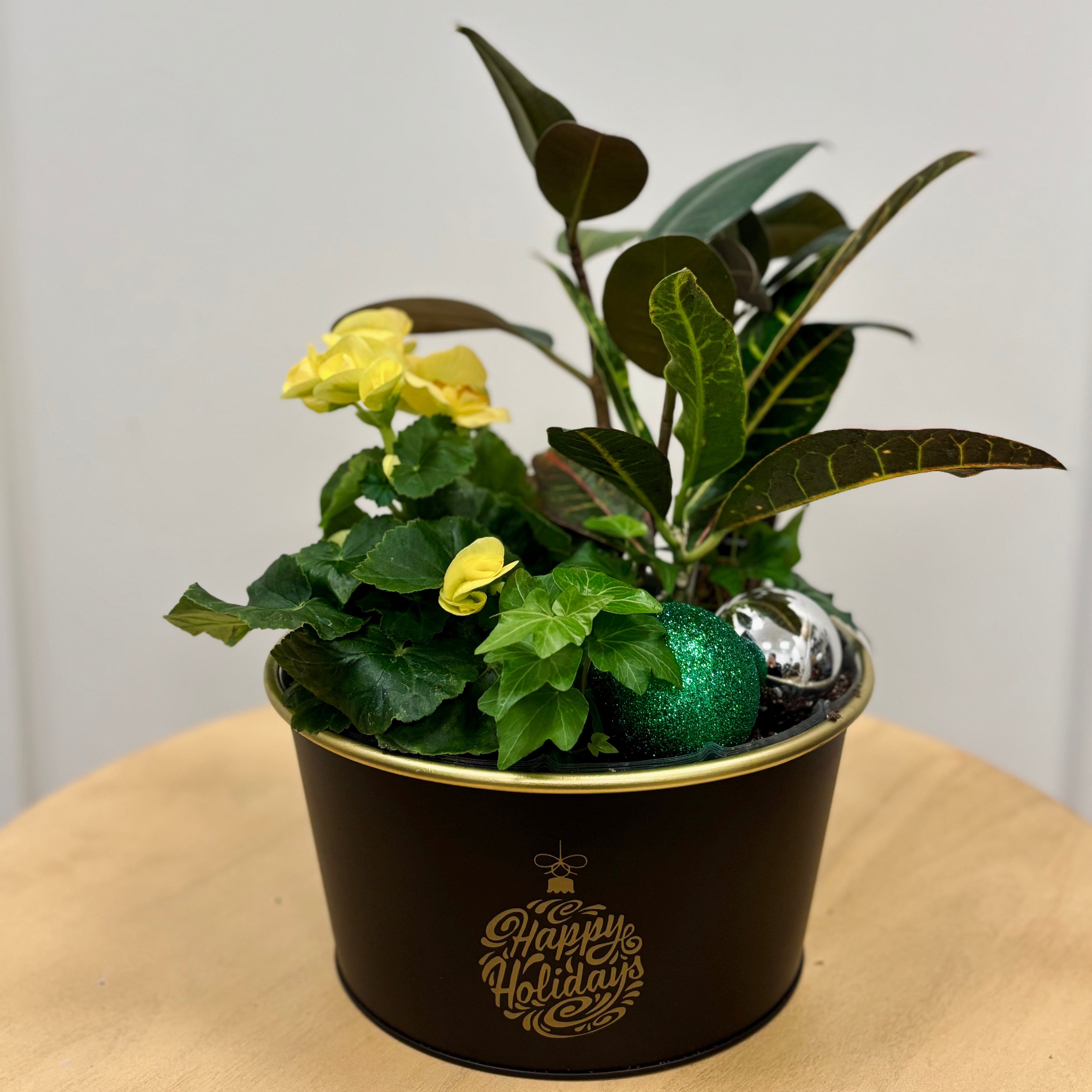 Season's Greetings Holiday Begonia Planter