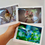 Load image into Gallery viewer, Flora + Fauna Photography Greeting Card
