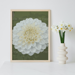 Load image into Gallery viewer, Digital Download: White Dahlia
